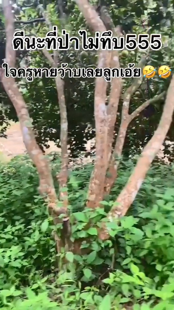 โดดเรียน